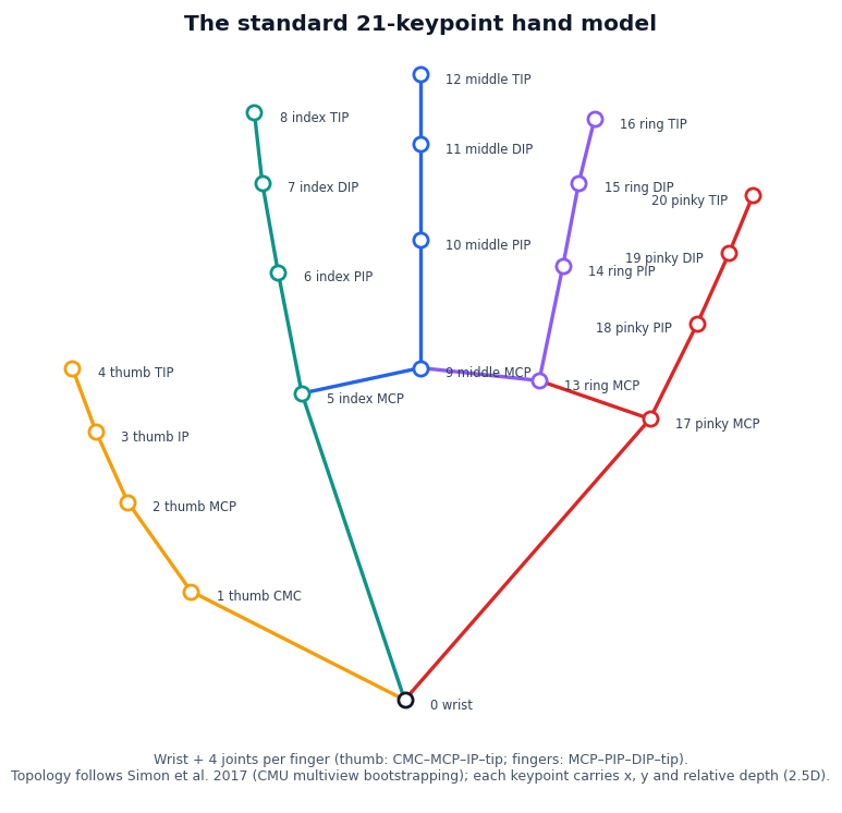 Diagram of the standard 21-keypoint hand model used by MediaPipe: landmark 0 at the wrist, then four joints per finger — CMC, MCP, IP, and tip for the thumb; MCP, PIP, DIP, and tip for each finger — each carrying x, y, and wrist-relative depth.